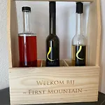 First Mountain - * 文斯