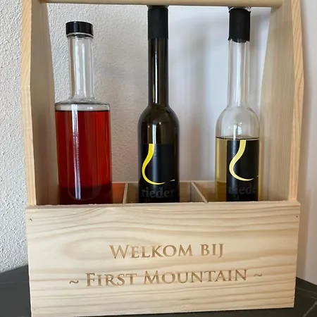 First Mountain - * فينس