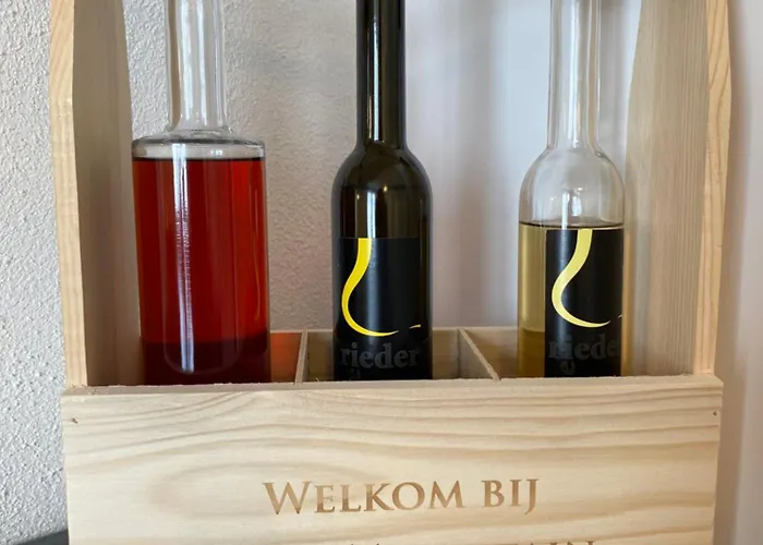 First Mountain - * 文斯